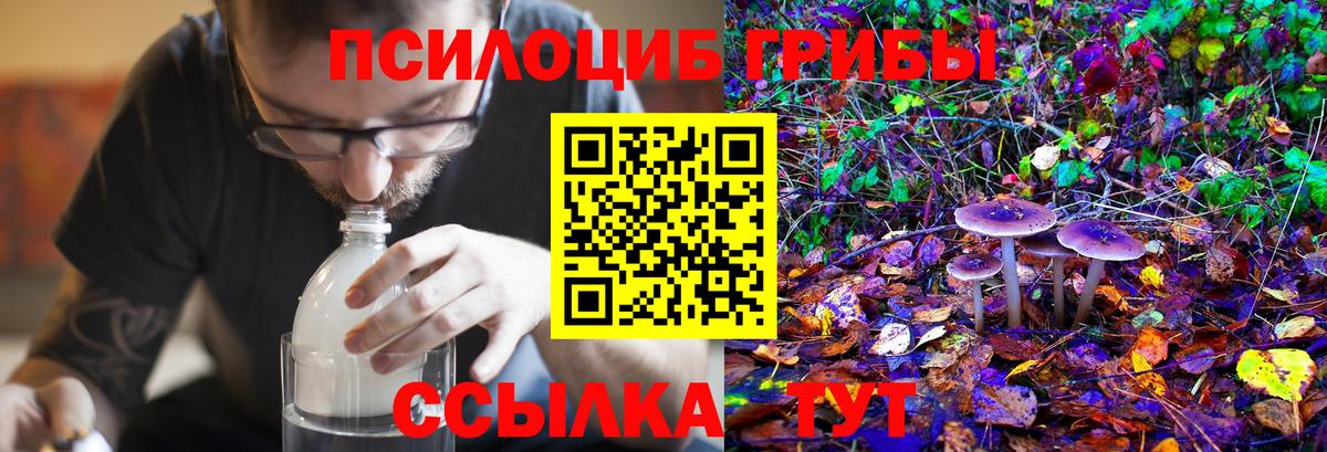 Галлюциногенные грибы Magic Shrooms Кириши